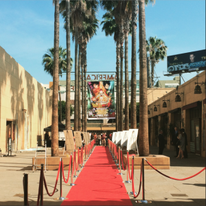 View from the carpet at the Egyptian Theatre